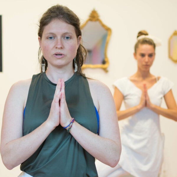 Vinyasa Yoga - Crest - Drôme