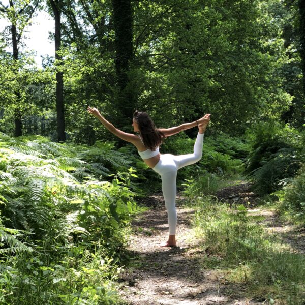 Prana Vashya Yoga - Crest - Drôme